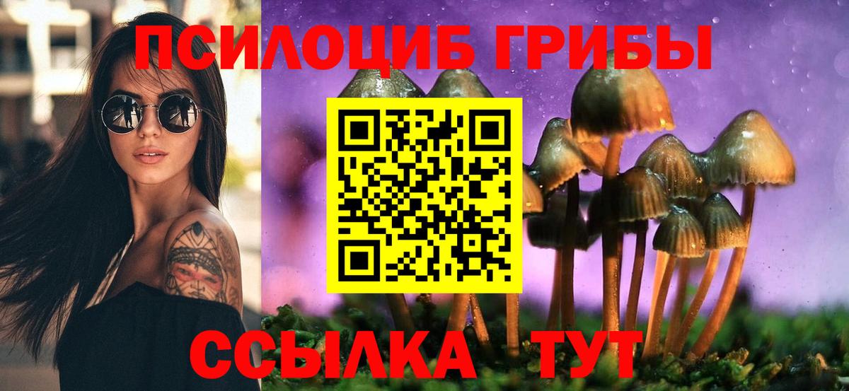 Псилоцибиновые грибы Psilocybine cubensis  Вход с VPN  Пенза  Псилоцибиновые грибы мицелий 
